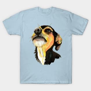 Dog T-Shirt